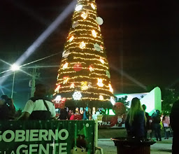 Metropolitano Tepic Park photo