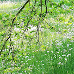 Photo n° 8 de l'avis de Annick.r fait le 16/05/2019 à 06:56 pour Parc Marguerite Yourcenar à Saint-Jans-Cappel