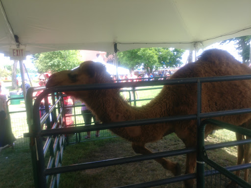 Community Center «Recreation Park», reviews and photos, 500 E Miner St, Arlington Heights, IL 60004, USA