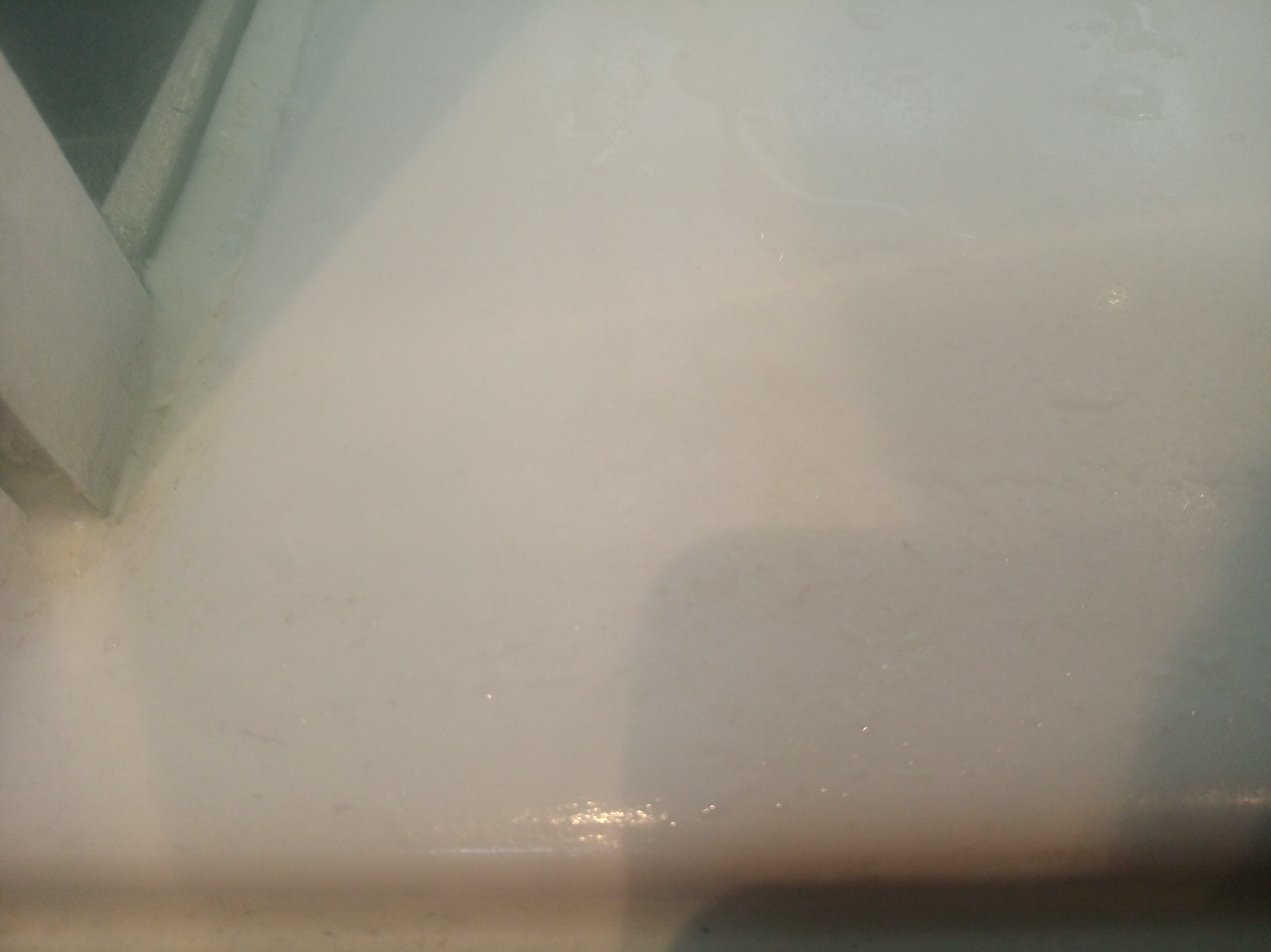 Photo n° 16 de l'avis de Hinda.A fait le 30/08/2021 à 09:32