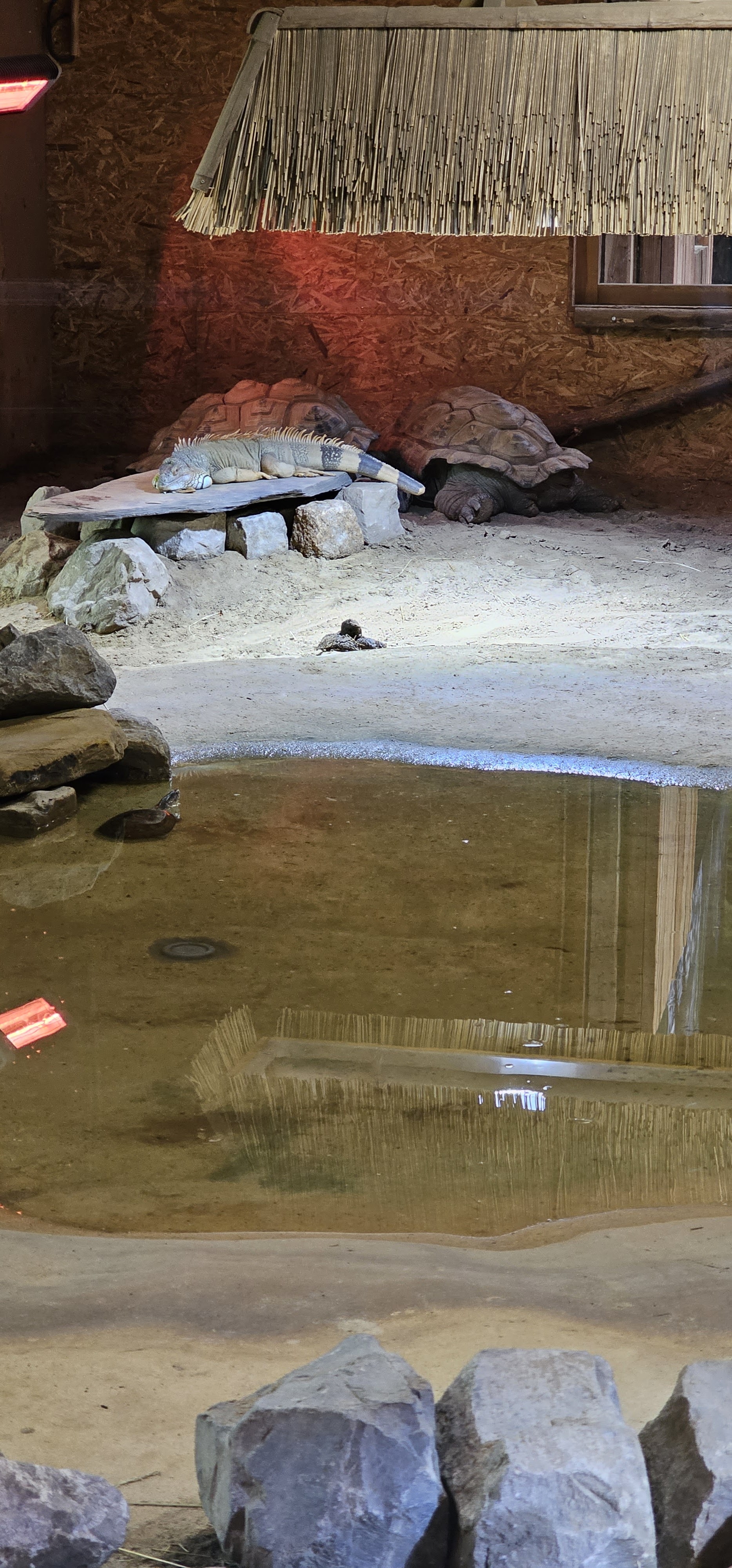 Photo n° 10 de l'avis de yaya.a fait le 15/05/2023 à 16:30