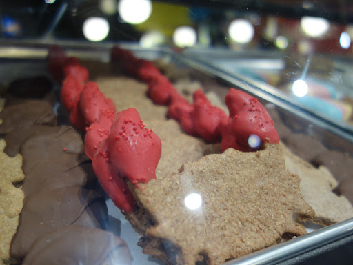 Pet Store «Dogma - Life, With Your Pet.», reviews and photos, 1719 Whetstone Way, Baltimore, MD 21230, USA