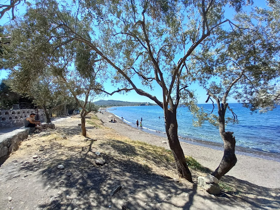 Deniz Çadır Kamp Plaji