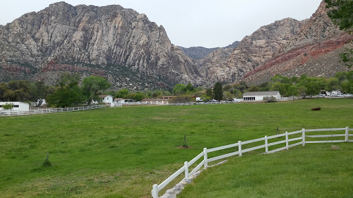 National Reserve «Red Rock Canyon National Conservation Area», reviews and photos, 1000 Scenic Loop Dr, Las Vegas, NV 89161, USA