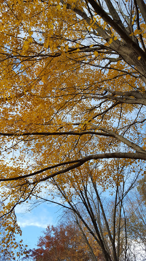 State Park «Monmouth Battlefield State Park», reviews and photos, 16 Business Route 33, Manalapan Township, NJ 07726, USA