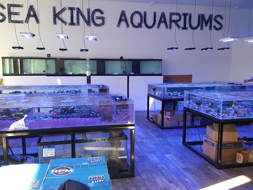 Pet Store «Sea King Aquariums», reviews and photos, 12005 NE 12th St #29, Bellevue, WA 98005, USA
