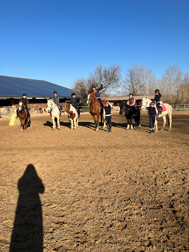 Centre équestre And Poney club Du Lys à Montaren-et-Saint-Médiers, Gard