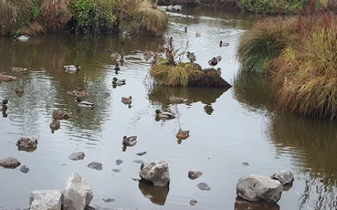 Newpark Marsh Eco Park image