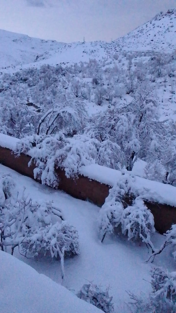 Photo n° 1 de l'avis de Saadia.o fait le 27/02/2023 à 19:15