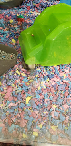 Pet Supply Store «Petco Animal Supplies», reviews and photos, 7303 Pinnacle Pkwy, Covington, LA 70433, USA