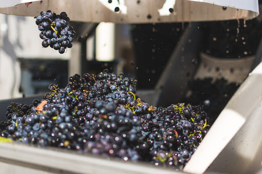 Winery «Coria Estates», reviews and photos, 8252 Redstone Ave SE, Salem, OR 97306, USA