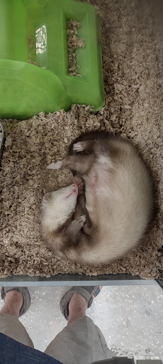 Pet Supply Store «Petco Animal Supplies», reviews and photos, 13127 N Dale Mabry Hwy, Tampa, FL 33618, USA