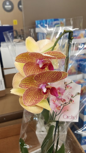 Supermarket «ALDI», reviews and photos, 481 Park Ave, Lindenhurst, NY 11757, USA