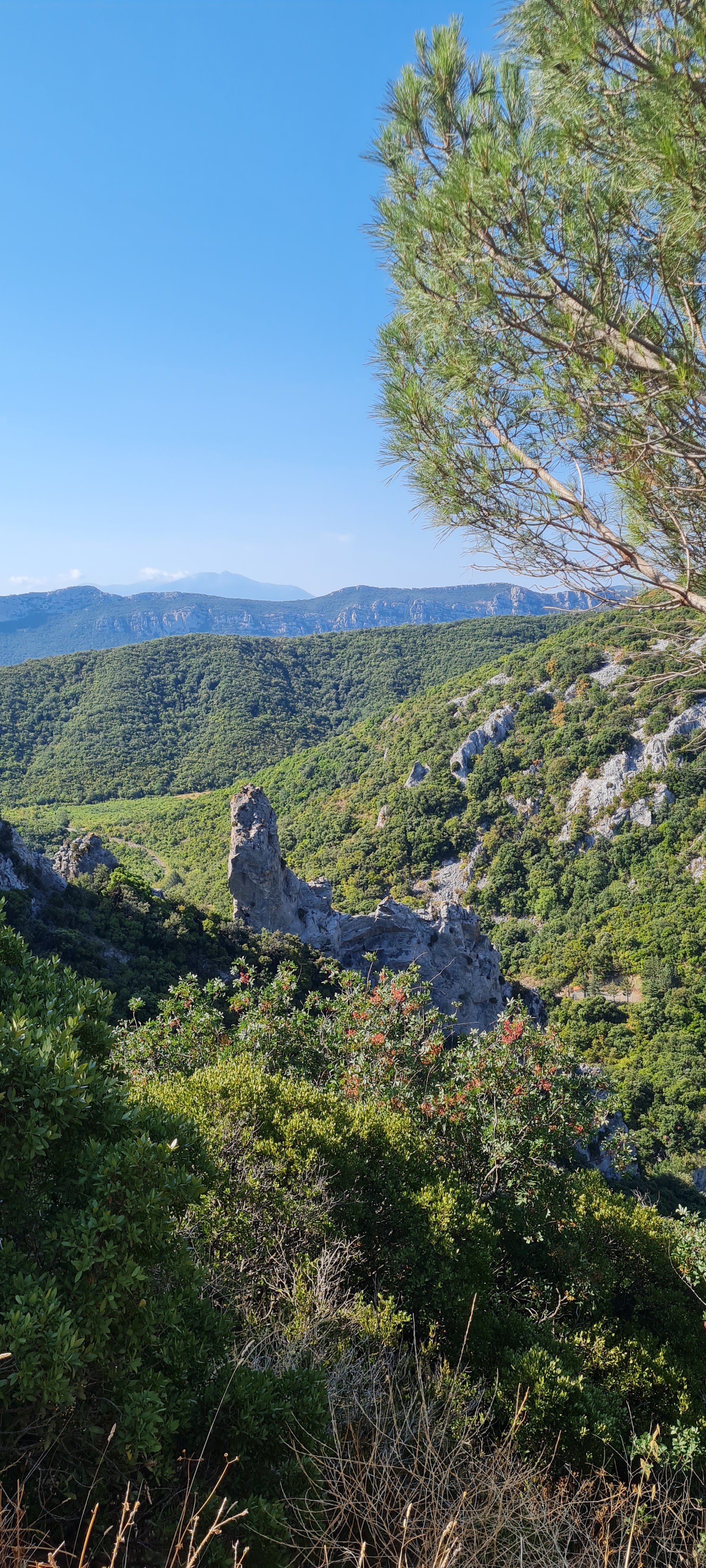 Photo n° 3 de l'avis de Wendie.o fait le 13/08/2022 à 17:46