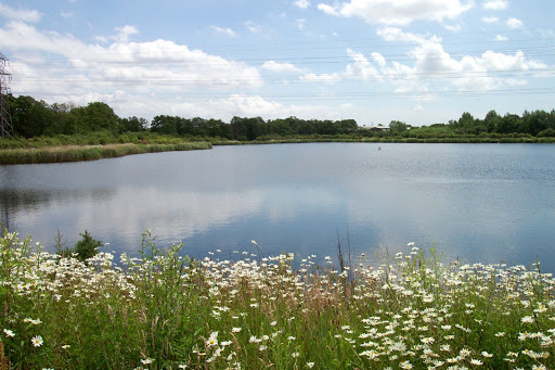 Testwood Lakes Nature Reserve Southampton
