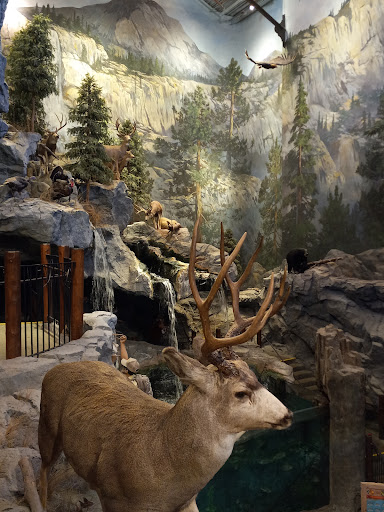 Sporting Goods Store «Bass Pro Shops», reviews and photos, 1356 Bass Pro Dr, Manteca, CA 95337, USA