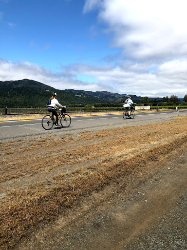 Bicycle Rental Service «Napa Valley Bike Tours & Rentals», reviews and photos, 6500 Washington St, Yountville, CA 94599, USA