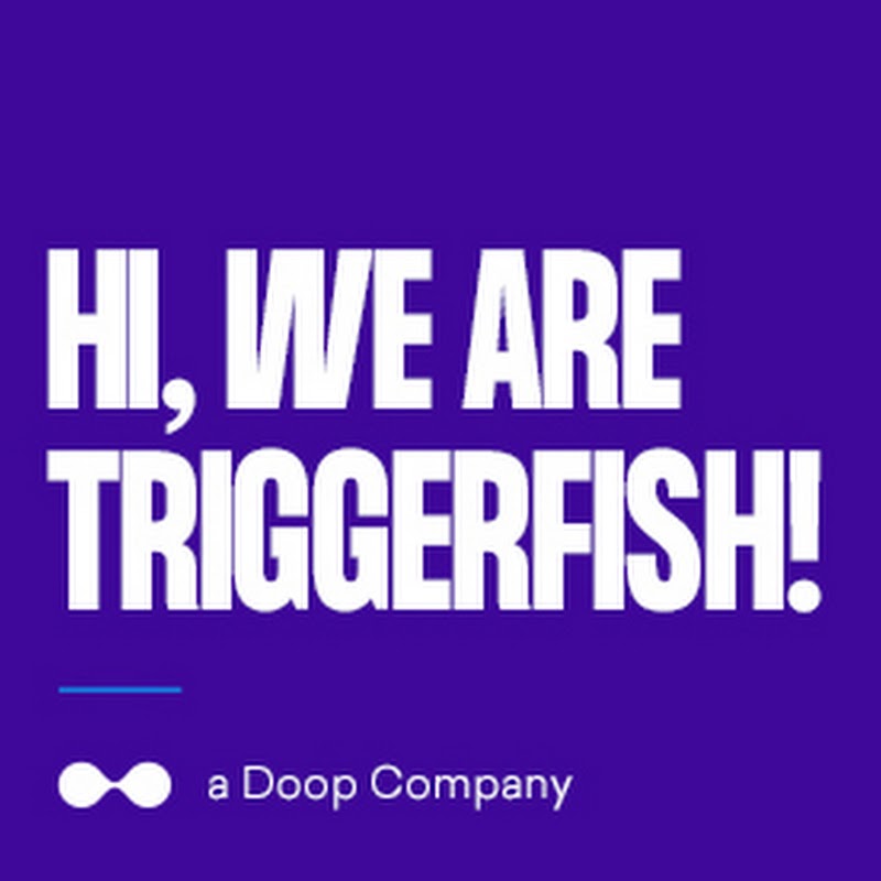 Triggerfish! B.V. | Doop Strategy | Doop Zwolle