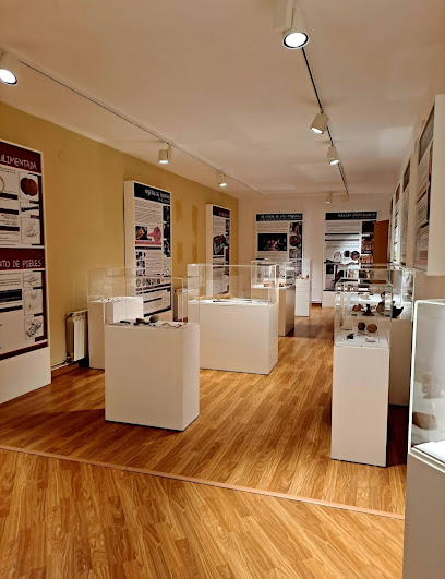 Museo – Centro de Interpretación de Cogollos de la Vega – Cogollos de la Vega