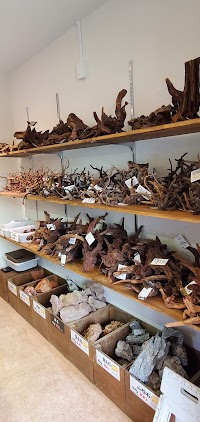 アクアリウム&パルダリウム専門店DISCOVERY