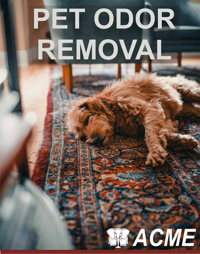 ACME CARPET CLEANING