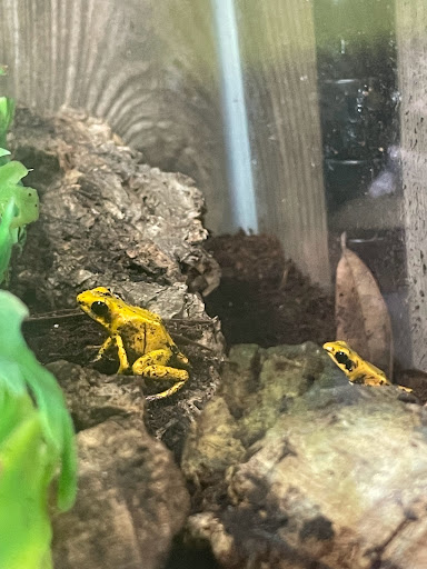 Pet Store «Birds & Beasts Pet Shop», reviews and photos, 35 Berkshire Dr # 18, Crystal Lake, IL 60014, USA