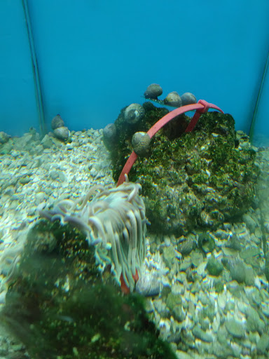 Pet Supply Store «Petco Animal Supplies», reviews and photos, 600 NE Vivion Rd, Kansas City, MO 64118, USA