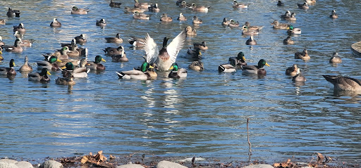 Park «Greer Park», reviews and photos, 6900 W McFadden Ave, Huntington Beach, CA 92647, USA