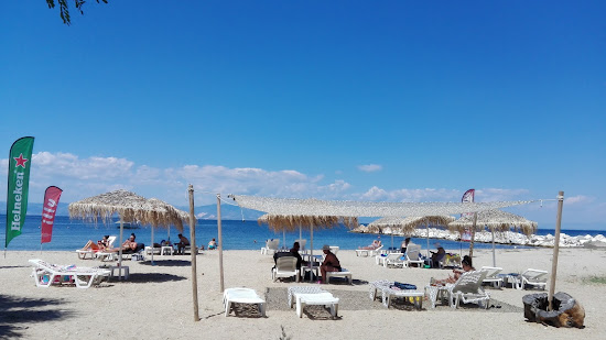 Revive beach