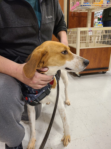 Pet Supply Store «PetSmart», reviews and photos, 11835 Retail Dr, Wake Forest, NC 27587, USA