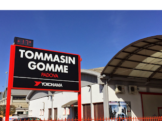 Tommasin Gomme