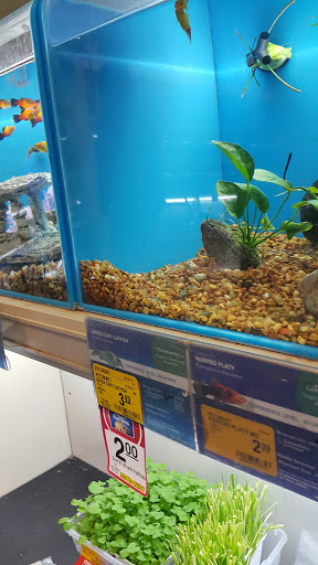 Pet Supply Store «PetSmart», reviews and photos, 8105 Moores Ln Ste 1300, Brentwood, TN 37027, USA