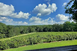 Hickory Ridge Vineyard and Winery image