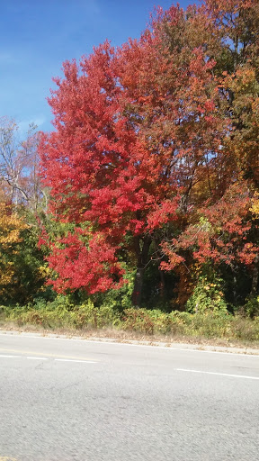 Hotel «Embassy Suites by Hilton Boston/Waltham», reviews and photos, 550 Winter St, Waltham, MA 02451, USA