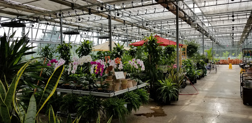 Garden Center «Blooms at Belle Mead», reviews and photos, 1980 US-206, Belle Mead, NJ 08502, USA