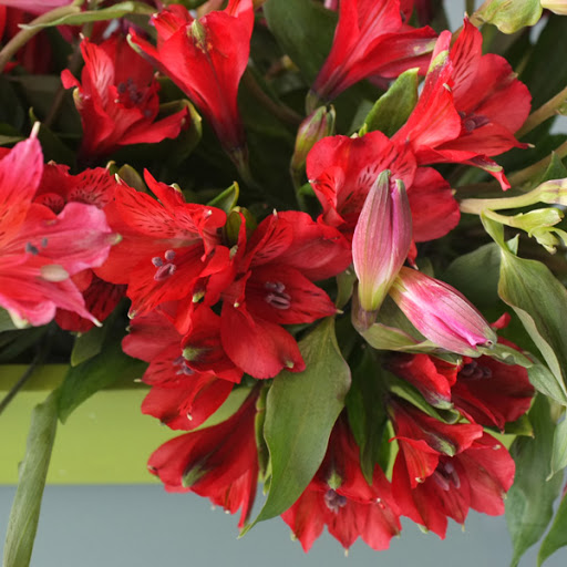 Florist «A Street Florist», reviews and photos, 727 A St, Hayward, CA 94541, USA