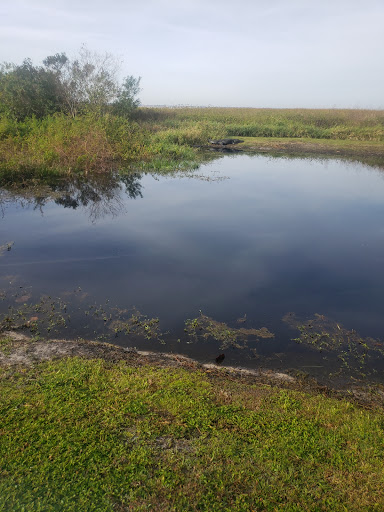 Sightseeing Tour Agency «Wild Willys Airboat Tours», reviews and photos, 4715 Kissimmee Park Rd, St Cloud, FL 34772, USA