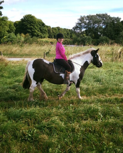 Gertrude Road Riding Stables Nottingham