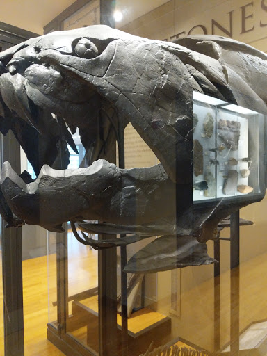 Museum «Beneski Museum of Natural History», reviews and photos, 11 Barrett Hill Rd, Amherst, MA 01002, USA