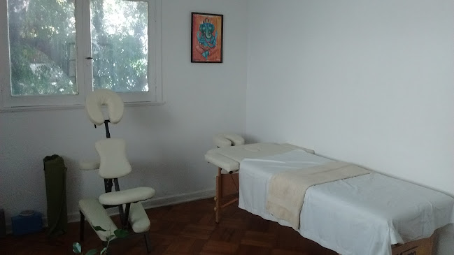 Opiniones de Dhatri Yoga & Ayurveda en Providencia - Centro de yoga