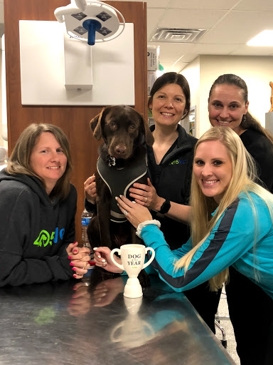 405 Vet Animal Hospital image