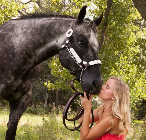 Tack Shop «3 Gems Tack & Stables», reviews and photos, 1175 85th Ave NW, Moorhead, MN 56560, USA