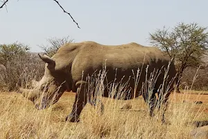 Faan Meintjes Nature Reserve image