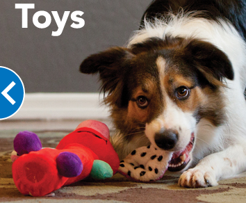 PetSmart image