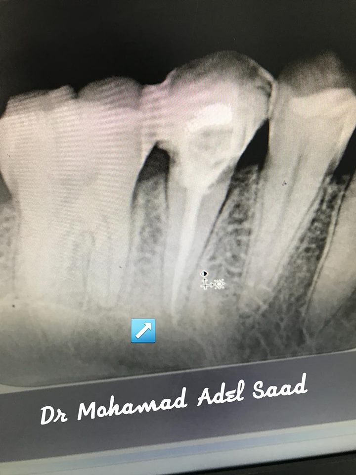 Dr Mohamad Adel saad dental clinic