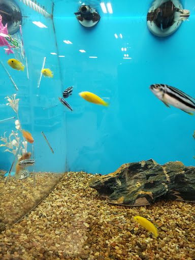 Pet Supply Store «PetSmart», reviews and photos, 2113 E Geneva St, Delavan, WI 53115, USA