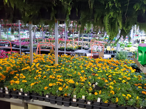 Home Improvement Store «The Home Depot», reviews and photos, 6017 Maxtown Rd, Westerville, OH 43082, USA