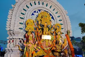 Durga Puja Mandap, Vanibihar square, Bhubaneswar. image