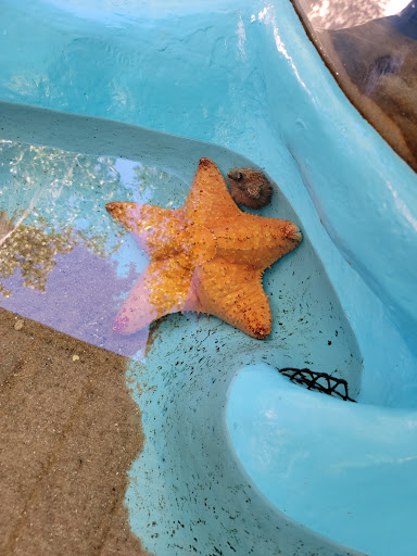Aquarium «Florida Keys Aquarium Encounters», reviews and photos, 11710 Overseas Hwy, Marathon, FL 33050, USA