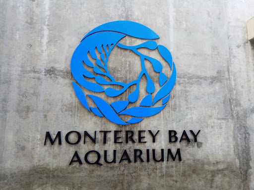 Aquarium «Monterey Bay Aquarium», reviews and photos, 886 Cannery Row, Monterey, CA 93940, USA